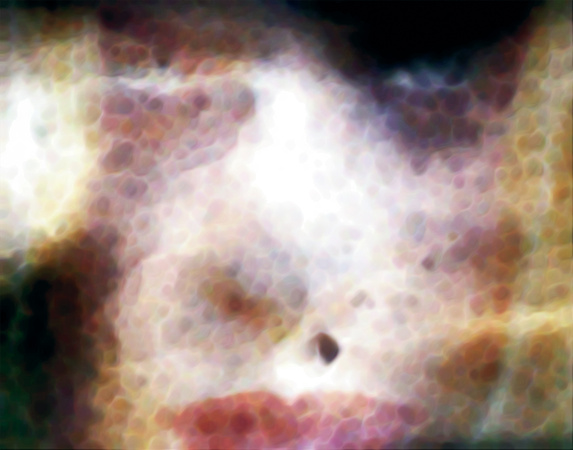 Moth