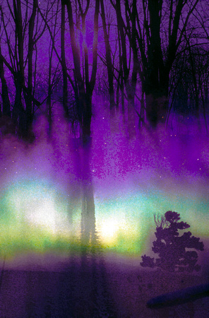 Sky Trees