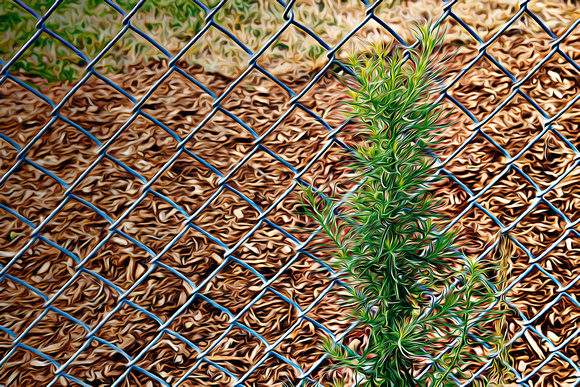 Fence