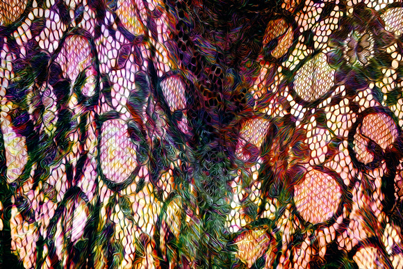Lace in Colors