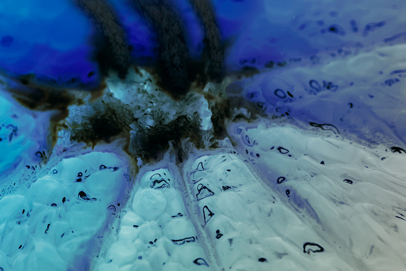 Deep Ocean Vent